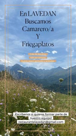Imagen PUESTO DE FRIEGAPLATOS Y CAMARERO/A- RESTAURANTE LAVEDÁN
