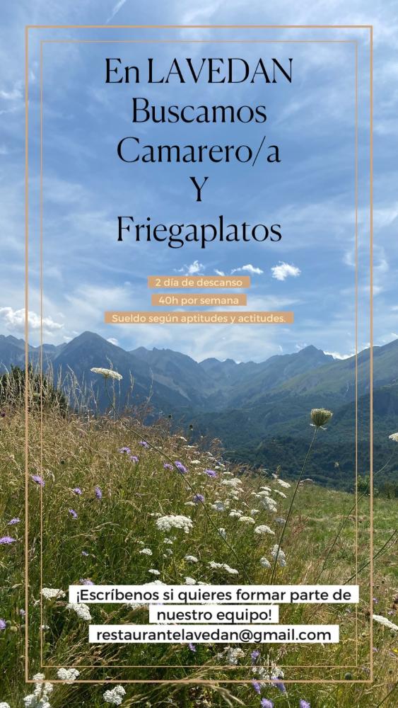 Imagen PUESTO DE FRIEGAPLATOS Y CAMARERO/A- RESTAURANTE LAVEDÁN