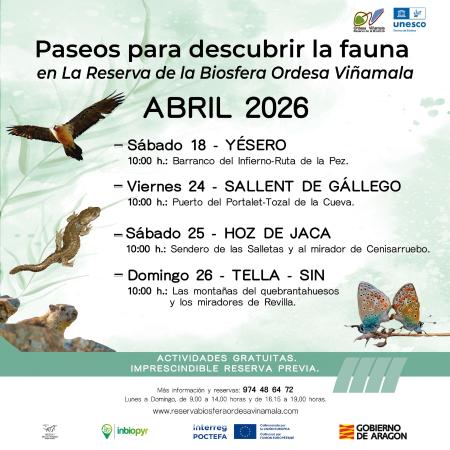 Image Paseos para descubrir la fauna de la Reserva de la Biosfera