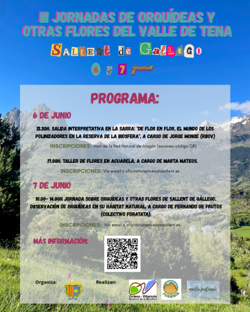 Imagen III JORNADAS DE ORQUÍDEAS Y OTRAS FLORES DEL VALLE DE TENA