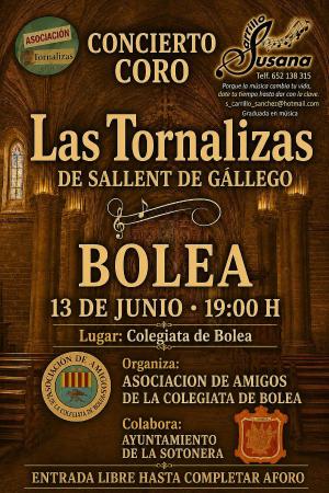 Image Concierto Colegiata Bolea