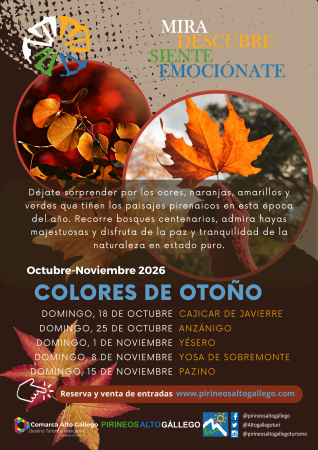 Image 2026-Colores-de-Otono1